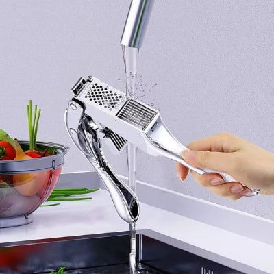 presse ail lames en acier inoxydable robuste 