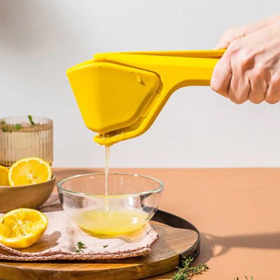 Presse citron manuel mécanisme charnière effet levier unique